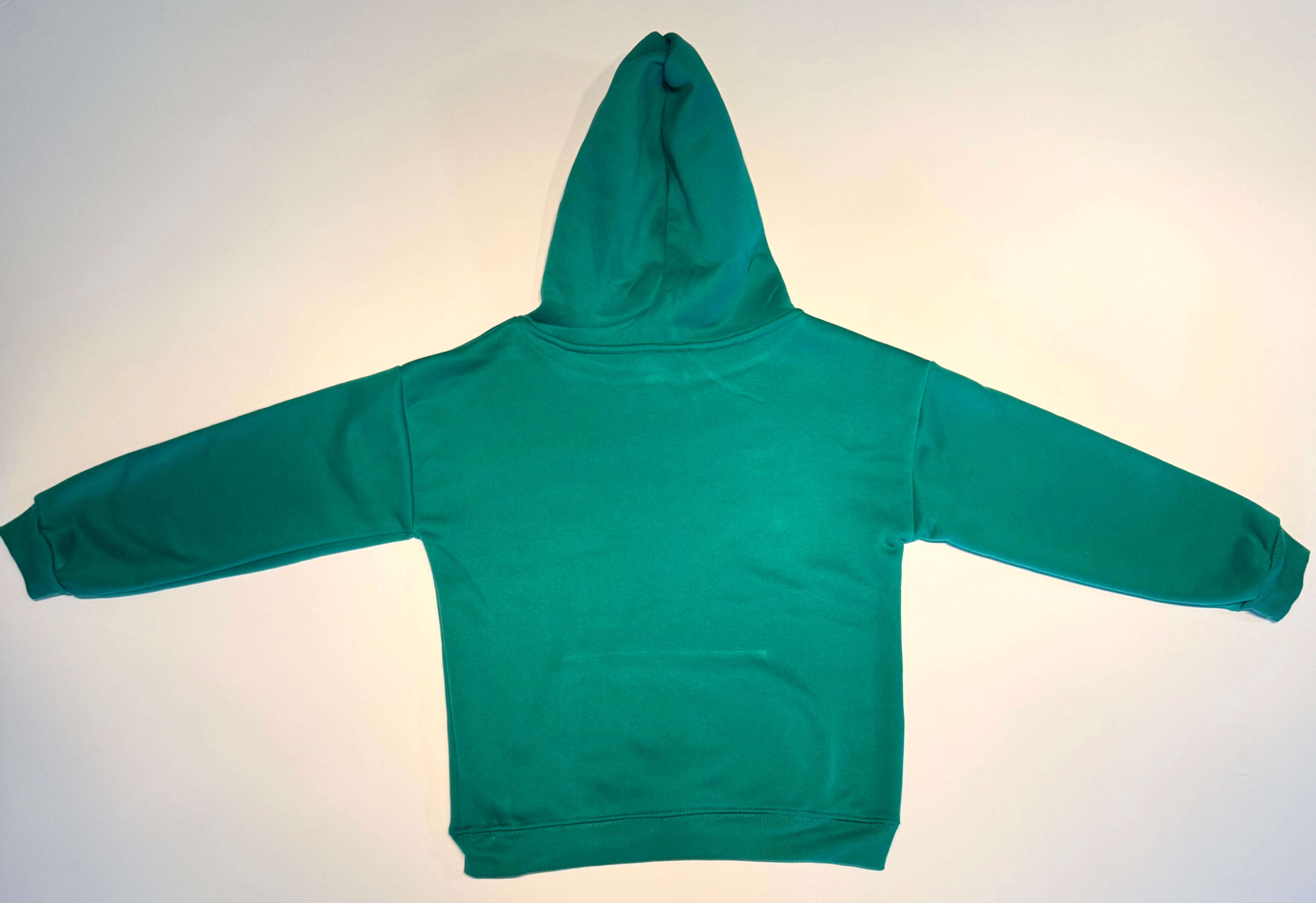 Boy's "The Nashville Daytripper" Hoodie