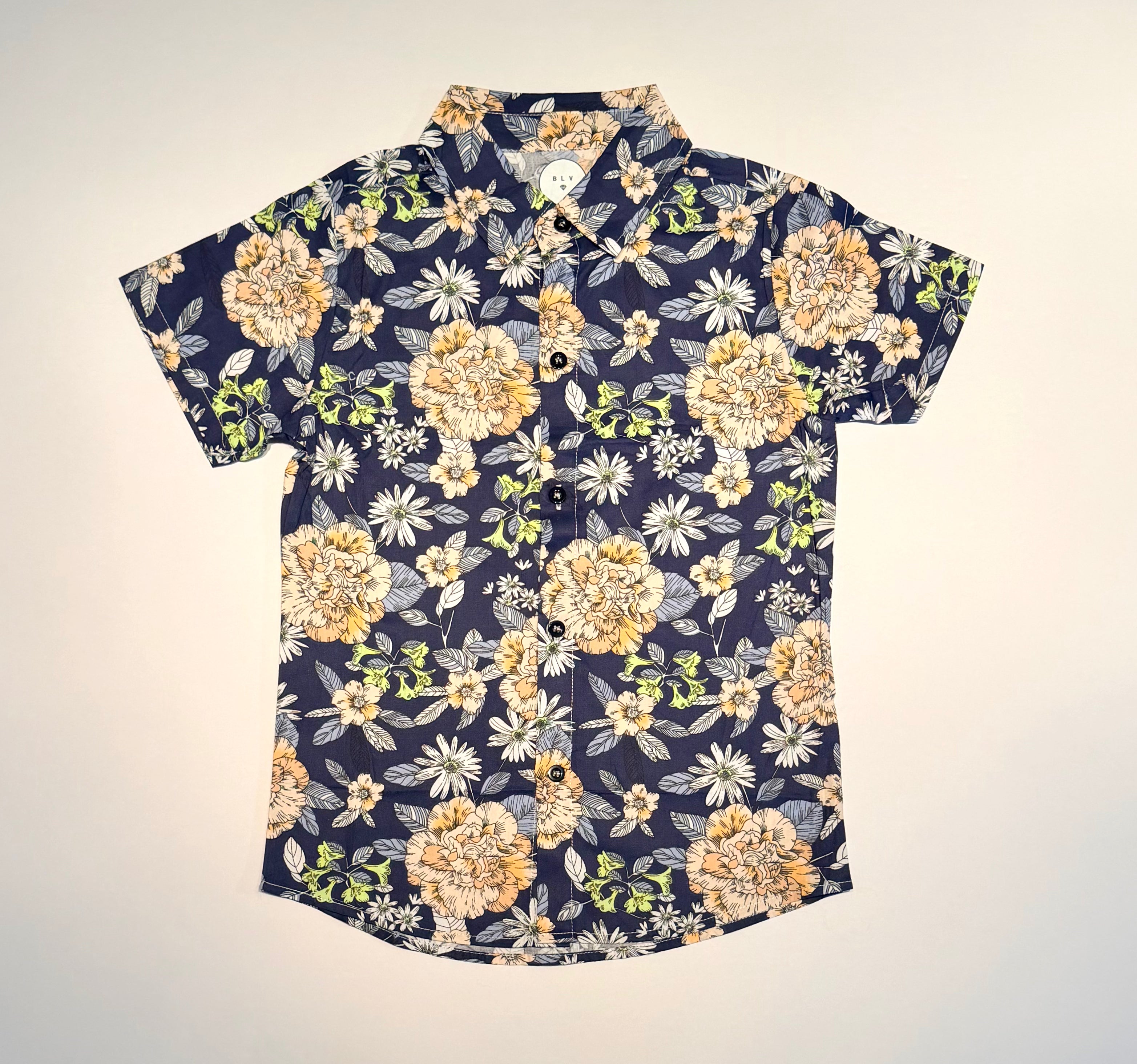 Boy's "Cardiff" Short Sleeve Button Down Collared Shirt